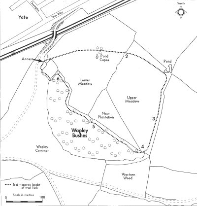 Map of Wapley Bushes Local Nature Reserve